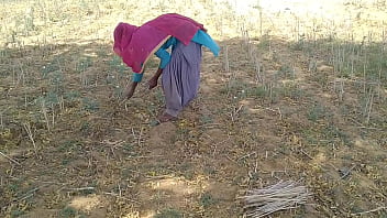 भारतीय देसी युवक ने खेत में कस्तूरी सुगंधित प्रेमिका का रसपान किया